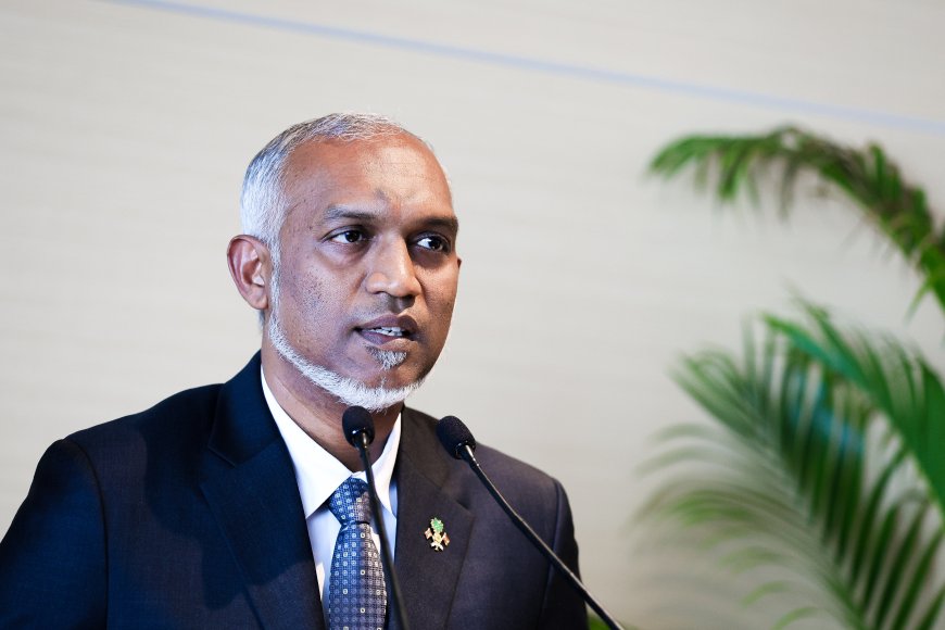 އެމެރިކާގެ މިނިވަން ދުވަހުގެ ތަހުނިޔާ ރައީސް ފޮނުއްވައިފި