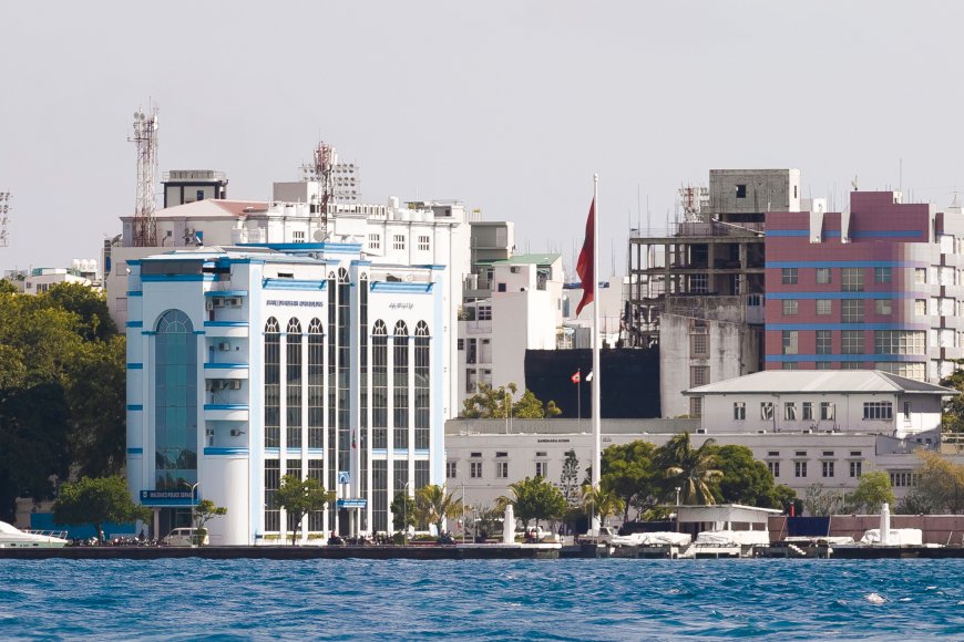 ކުއްޖަކަށް ޖިންސީ ގޯނާ ކުރި މައްސަލައެއް ބަލަނީ