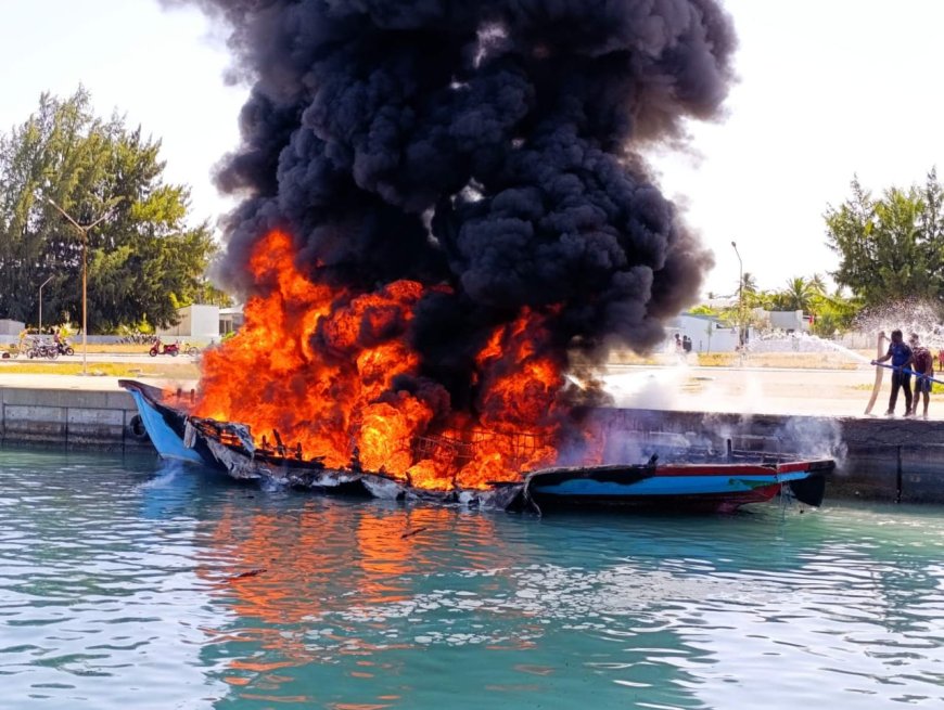 ވިލުފުށި ބަނދަރުގައި އޮތް ތެޔޮ ބޯޓުގައި އަލިފާން ރޯވެއްޖެ
