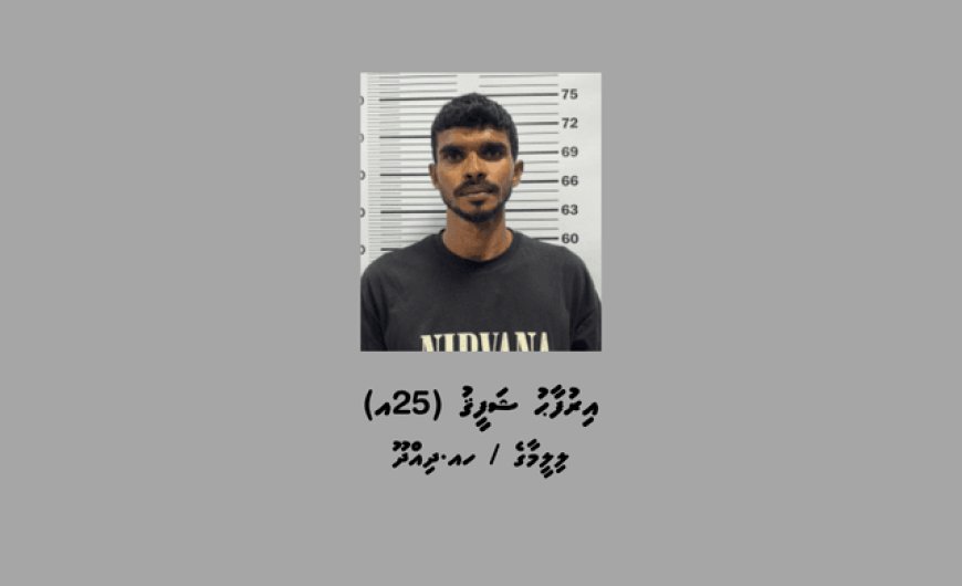 ދިއްދޫއިން މަސްތުވާތަކެއްޗާއެކު ޒުވާނަކު ހައްޔަރުކޮށްފި