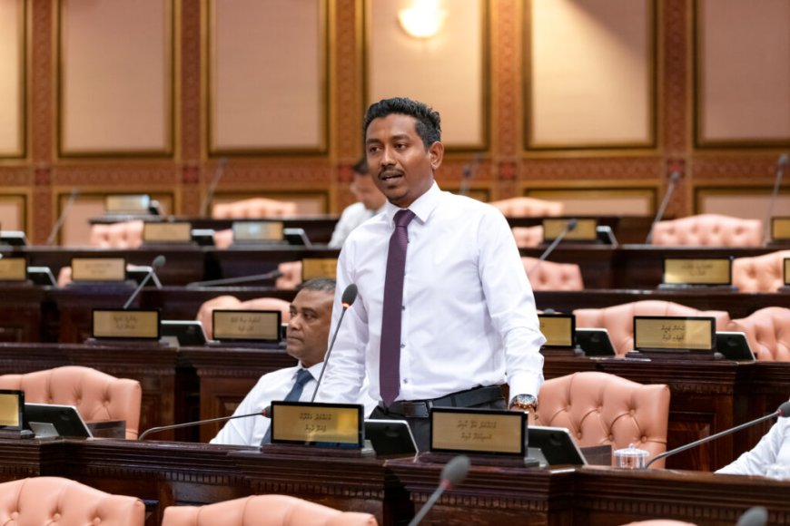 އެމްޑީޕީ ސިފަވަނީ ޢާއްމު މެންބަރުން ވިއްކައިގެން ހިންގާ ކުންފުންޏެއް ގޮތުގައި: މަމްދޫހު