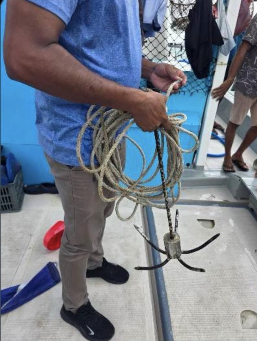 ގެއްލިގެން ހޯދާ މީހާ ދުއްވި ޑިންގީގެ ނަގިލި ފެނިއްޖެ