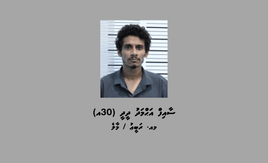 ސީރިއަލް ސްކޭމަރެއް ހައްޔަރުކޮށްފި