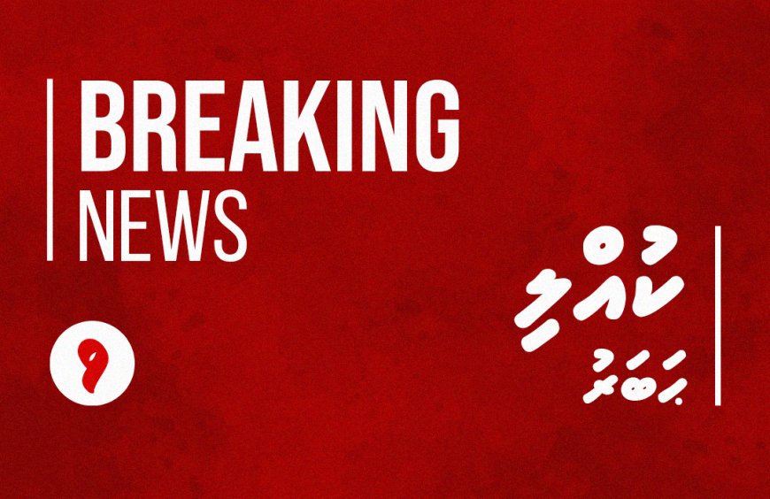 މާމިގިލީގައި ބޯވަ ނަގަން މޫދަށް އެރުނު 15 އަހަރުގެ ކުއްޖެއް ގެއްލިގެން ހޯދަނީ