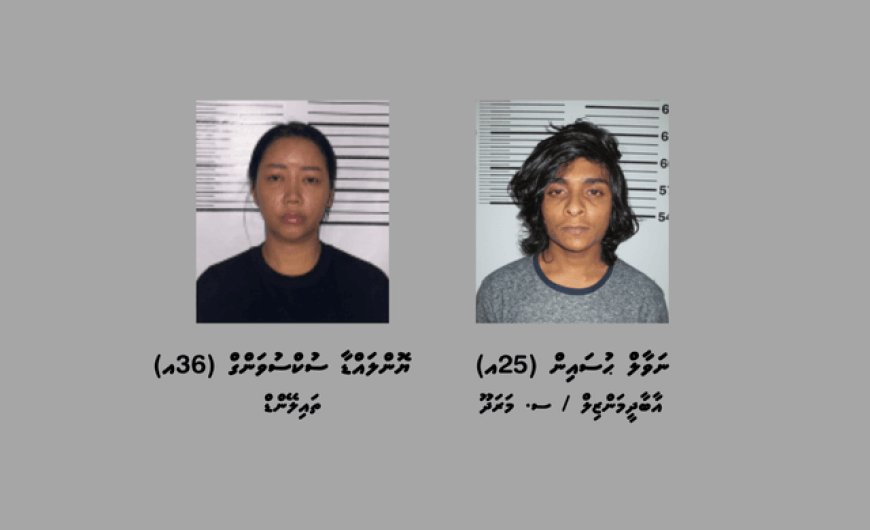 ހަށިވިއްކާކަމަށް ތުހުމަތުކުރެވޭ މައްސަލައެއްގައި ދެމީހަކު ހައްޔަރުކޮށްފި