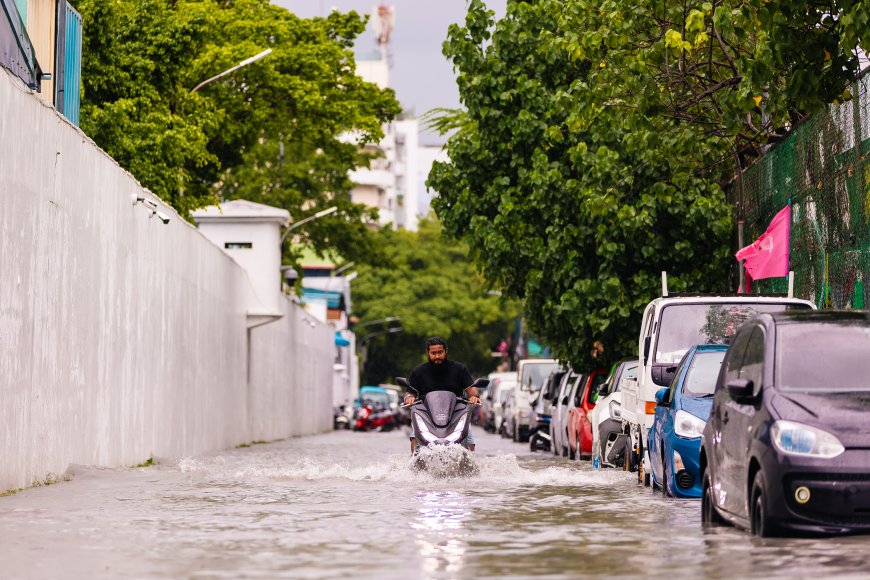 ރާއްޖޭގެ ބޮޑު ބަޔަކަށް ވައިޓް އެލާޓު ނެރެފި