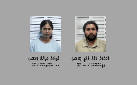 ބްލެކްމެއިލްކޮށް 3 ލައްކައަށް ވުރެ ގިނަ ރުފިޔާ ހޯދި ދެމީހަކު ހައްޔަރުކޮށްފި