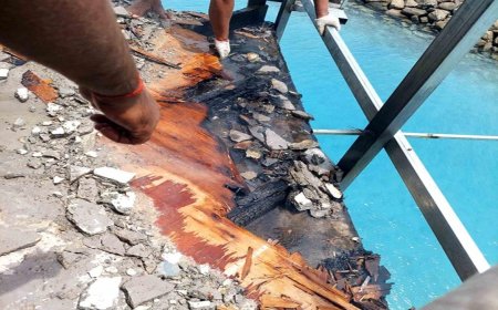 ރަސްފަންނު "ޕޮމެލޯ" ގައި ރޯވި އަލިފާން އެމްއެންޑީއެފް އިން ނިއްވާލައިފި