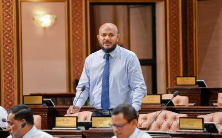 ޝުޖާއު މާލިއްޔަތު ކޮމެޓީން ވަކިކޮށް ތަރިކަ ކޮމެޓީއަށް ބަދަލުކޮށްފި
