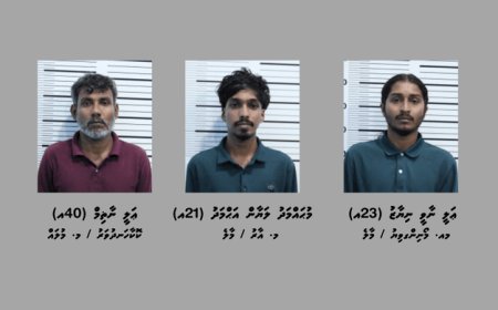 ގިނަ އަދަދެއްގެ މަސްތުވާތަކެއްޗާއެކު މާލެއިން ހަތަރު މީހުން ހައްޔަރުކޮށްފި