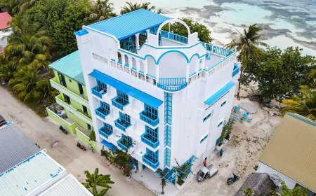 ދިއްފުށިން ފަތުރުވެރިކަމުގެ ބޭނުމަށް ބިން ދޫކުރަނީ