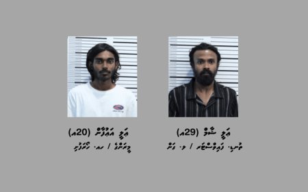 މަސްތުވާތަކެއްޗާއެކު މާލެއިން ދެ މީހަކު ހައްޔަރުކޮށްފި