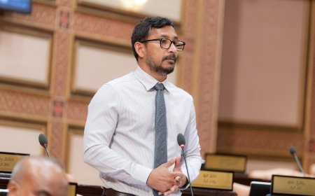 އައްބާސް އަކީ އަޚްލާގެއް ނެތް ބުއްދިގޯސް މޮޔައެއް: ފަލާހް