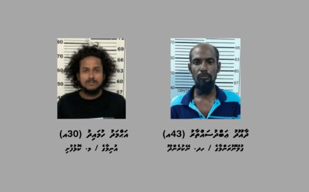 ދެ ރަށެއްގައި ހިންގި މަސްތުވާތަކެތީގެ އޮޕަރޭޝަނެއްގައި ދެ މީހަކު ހައްޔަރުކޮށްފި