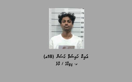 ފުލުހުންނަށް ފިލަން ބާރު ސްޕީޑުގައި ކާރު ދުއްވި ޒުވާނާ ދޫކޮށްލައިފި