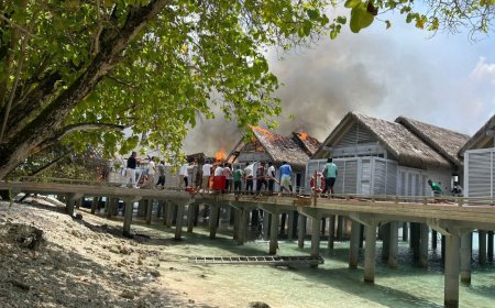 ކުޑަރަށް ރިސޯޓުގައި ރޯވި އަލިފާން ނިއްވާލައިފި