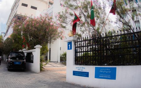 15 އަހަރުވެފައިވާ ކޮލެޖުތައް ޔުނިވާސިޓީއަށް ބަދަލުކުރެވޭ ގޮތަށް ފާސްކޮށްފި