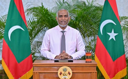 ކައުންސިލްތައް ޒިންމާދާރުކުރާ ބިލު ރައީސް ތަސްދީގުކުރައްވައިފި
