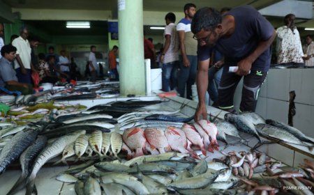 މަސްމާރުކޭޓް ކުއްޔަށްދީފައިވަނީ ބިޑުކޮމިޓީއިން ނިންމި އަގަށްވުރެ 60,000ރ ކުޑަކޮށް