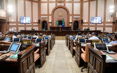 ހިއުމަން ރައިޓްސް ކޮމިޝަނުގެ މެންބަރުކަމަށް ޝަފީޤު އައްޔަންކުރަން ފާސްކޮށްފި