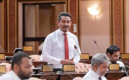 ޕޭމެންޓު ސިސްޓަމްގެ ގާނޫނަށް އިސްލާހު ގެނައުމުގެ ބިލް ފާސްކޮށްފި