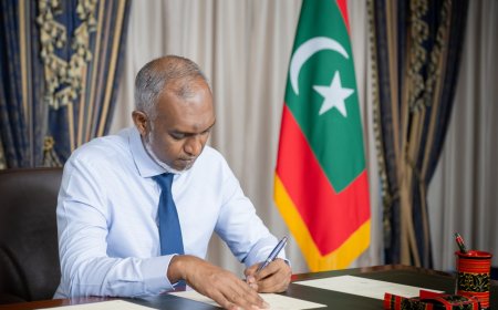 އިންޓެލެކްޗުއަލް ޕްރޮޕަޓީ އޮފީހުގެ ބިލު ރައީސް ތަސްދީގުކުރައްވައިފި