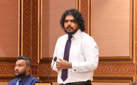 މާލިއްޔަތު ކޮމިޓީ އަދި 241 ކޮމިޓީއަށް އަލުން އަޒާނު އައްޔަންކޮށްފި