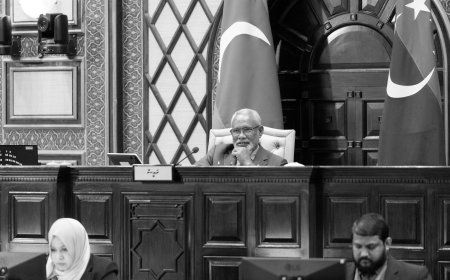 މީޑިއާ ބިލު ދިރާސާކުރަން ފުރުސަތުދީ ރައްޔިތުންގެ މަޖިލީހުގެ ދައުރު ނިންމާލައިފި
