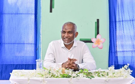 ތެލަސީމިއާ ކޮންޓްރޯލްކުރުމުގެ ޤާނޫނަށް އިޞްލާޙު ގެނައުމުގެ ބިލު ރައީސް އަނބުރާ މަޖިލީހަށް ފޮނުއްވައިފި