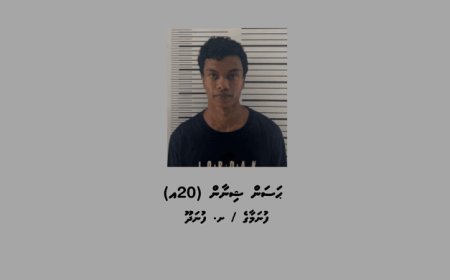 ފުނަދޫއަށް މަސްތުވާތަކެތި އެތެރެކުރަން އުޅުނު މީހަކު ހައްޔަރުކޮށްފި