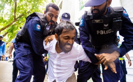މީޑިއާ ބިލާއި ދެކޮޅުހެދި ހަތަރު ނޫސްވެރިއަކު ހައްޔަރުކޮށްފި
