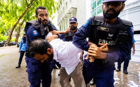ނޫސްވެރިން ހައްޔަރެއް ނުކުރަން: ފުލުހުން
