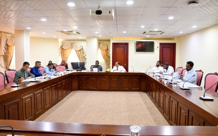މީޑިއާތަކުގެ ޚިޔާލު ހޯދުމަށް މަޖިލީހުގެ ކޮމިޓީން ފާސްކޮށްފި
