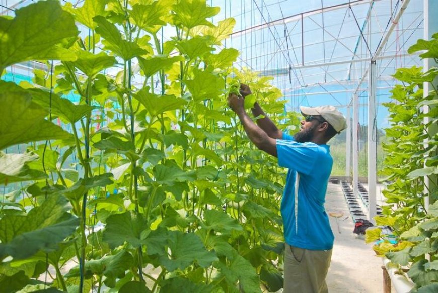 ދަނޑުވެރިކަމުގެ ލޯނަށް ތަރުހީބެއް ނުލިބުނު