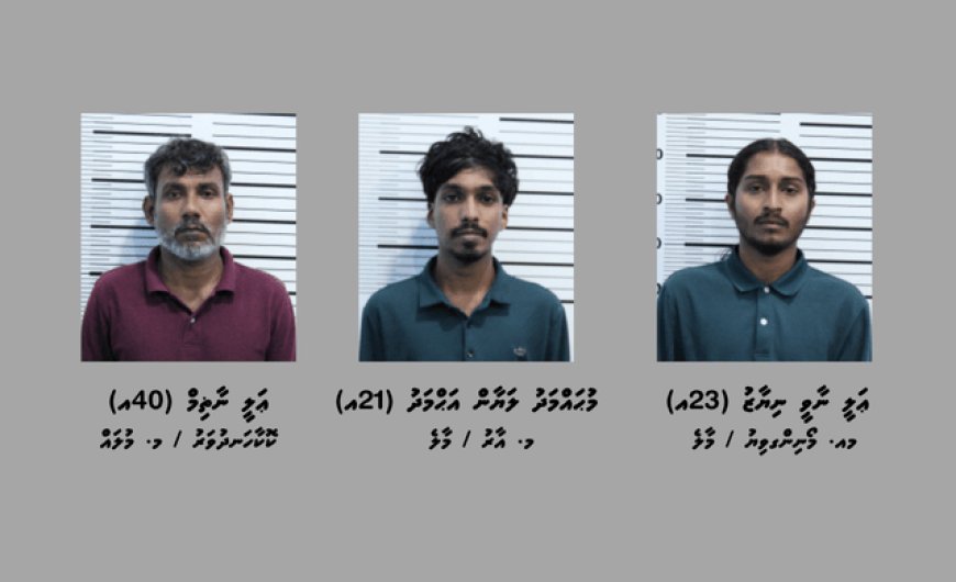 ގިނަ އަދަދެއްގެ މަސްތުވާތަކެއްޗާއެކު މާލެއިން ހަތަރު މީހުން ހައްޔަރުކޮށްފި