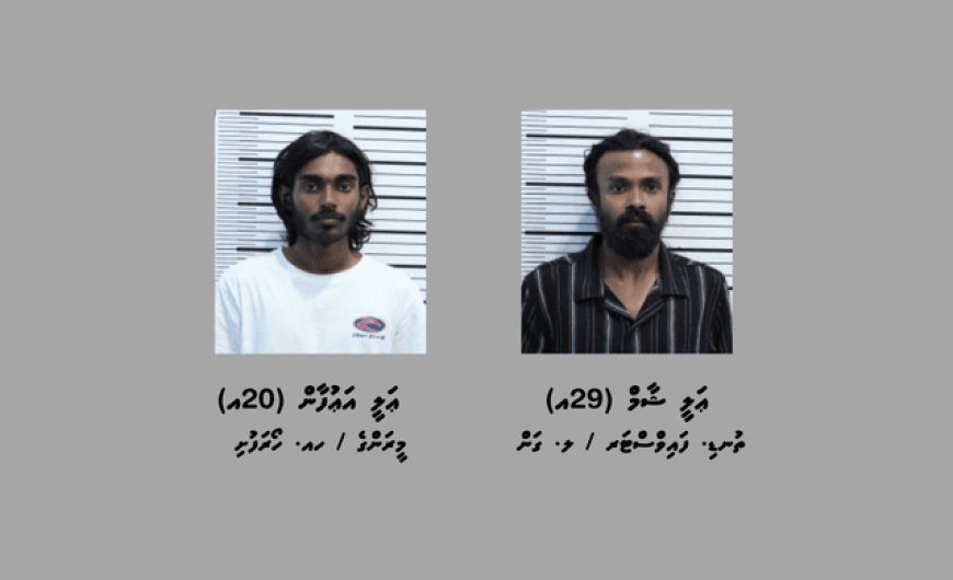 މަސްތުވާތަކެއްޗާއެކު މާލެއިން ދެ މީހަކު ހައްޔަރުކޮށްފި