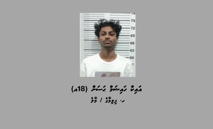 ފުލުހުންނަށް ފިލަން ބާރު ސްޕީޑުގައި ކާރު ދުއްވި ޒުވާނާ ދޫކޮށްލައިފި