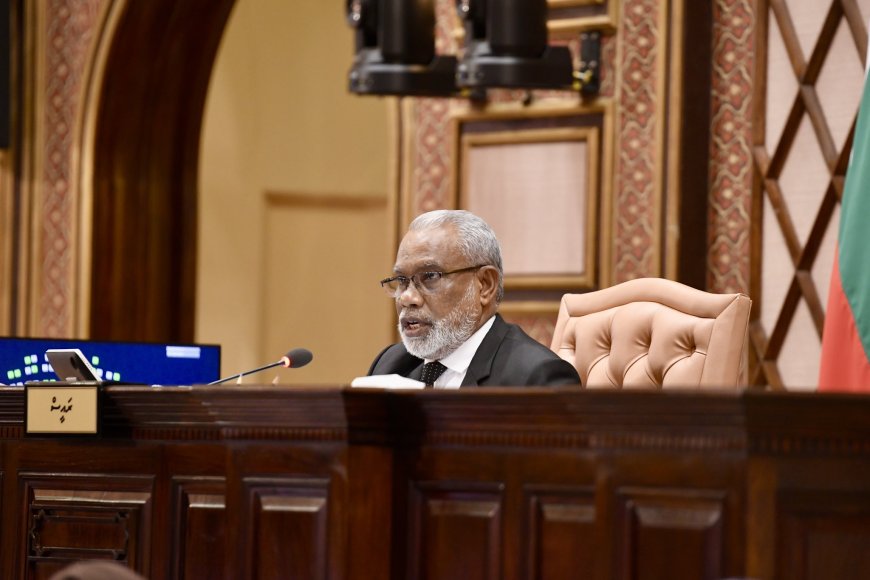 ރައްޔިތުންނާ ގުޅުން ހުރި ކަންކަން ނިންމުމަށް މަޖިލީހުގެ ދައުރު ދަންމާލައިފި