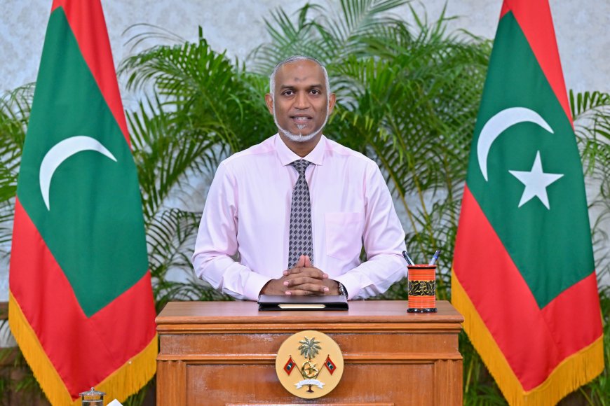 ކައުންސިލްތައް ޒިންމާދާރުކުރާ ބިލު ރައީސް ތަސްދީގުކުރައްވައިފި