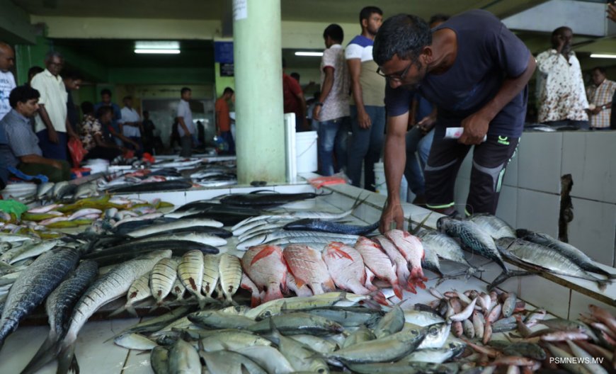 މަސްމާރުކޭޓް ކުއްޔަށްދީފައިވަނީ ބިޑުކޮމިޓީއިން ނިންމި އަގަށްވުރެ 60,000ރ ކުޑަކޮށް