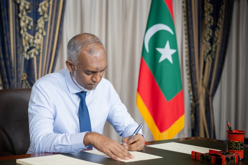 އިންޓެލެކްޗުއަލް ޕްރޮޕަޓީ އޮފީހުގެ ބިލު ރައީސް ތަސްދީގުކުރައްވައިފި