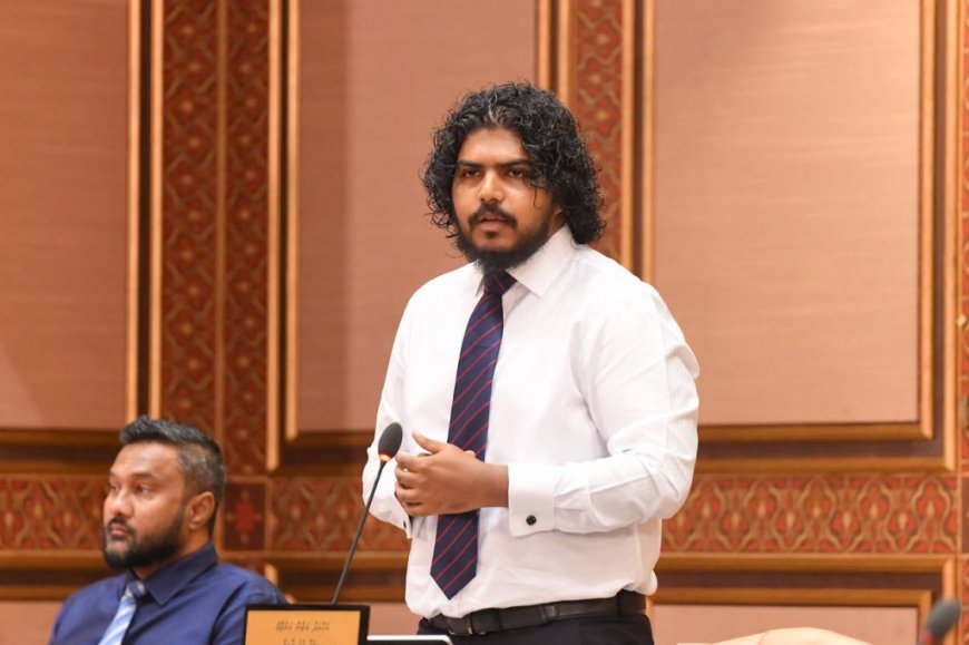 މާލިއްޔަތު ކޮމިޓީ އަދި 241 ކޮމިޓީއަށް އަލުން އަޒާނު އައްޔަންކޮށްފި