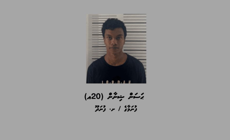 ފުނަދޫއަށް މަސްތުވާތަކެތި އެތެރެކުރަން އުޅުނު މީހަކު ހައްޔަރުކޮށްފި