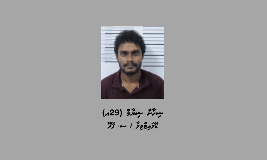 ސްކޭމްކޮށްގެން ގިނަ އަދަދެއްގެ ފައިސާ އަތުލި މީހަކު ހައްޔަރުކޮށްފި