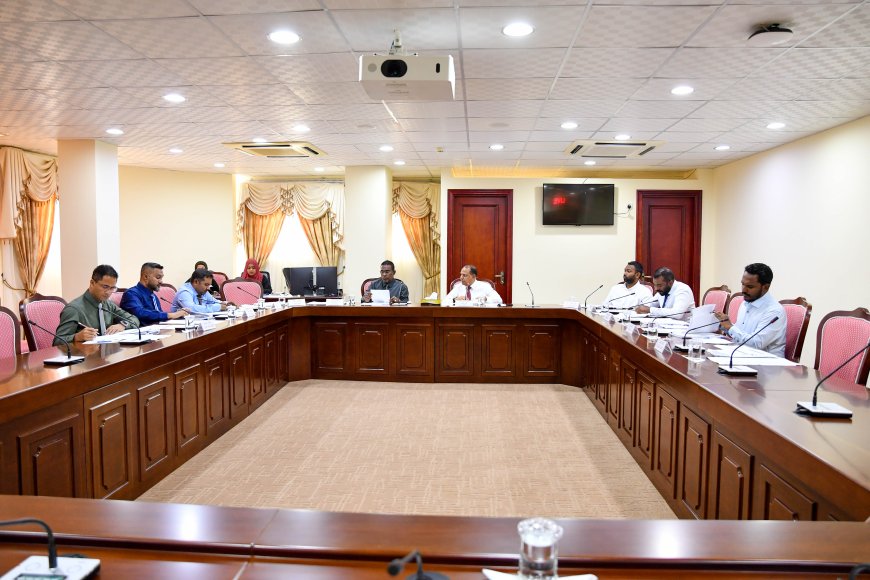 މީޑިއާތަކުގެ ޚިޔާލު ހޯދުމަށް މަޖިލީހުގެ ކޮމިޓީން ފާސްކޮށްފި