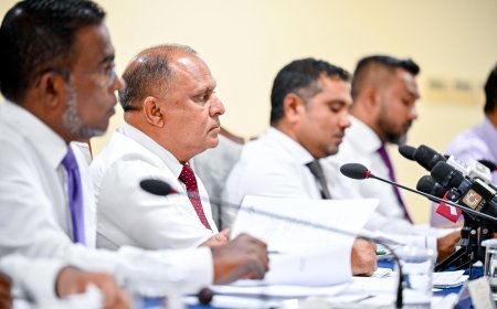 ނޫސްވެރިން ކޮމިޓީއަށް ވަނީ ގަދަކަމުން ކަމަށް ބުނެ މަޖިލީހުން ދޮގު ހަދައިފި