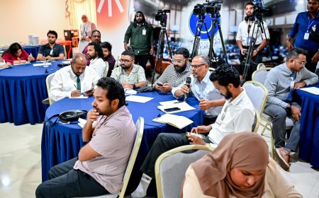 ޤާނޫނު އަސާސީން ލިބިދޭ ހައްޤެއް ކަށަވަރުކުރުމަށް މަޝްވަރާކުރާކަށް ނުޖެހޭ: ނޫސްވެރިން