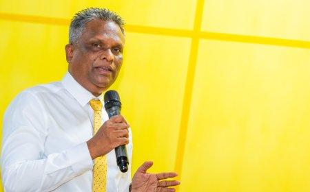އާޒިމުގެ މަގާމުގެ ނުފޫޒު ބޭނުންކޮށްގެން އާއިލީ ކުންފުންޏާ ބެހޭ މަޢުލޫމާތު ސިއްރުކުރާކަމުގެ ތުހުމަތު