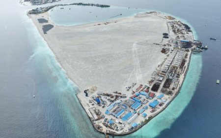 ގުޅިފަޅުން ދޫކުރާ ގޯތިތަކުގެ އިން ވަކިކުރުމުގެ މަސައްކަތް ފަށައިފި