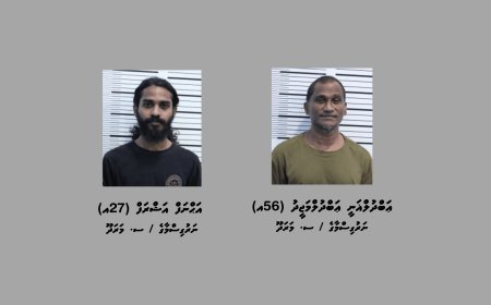 ގިނަ އަދަދެއްގެ މަސްތުވާތަކެއްޗާއެކު މާލެއިން ދެމީހަކު ހައްޔަރުކޮށްފި